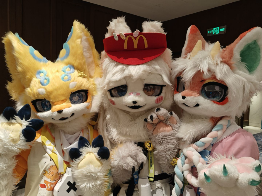 如图片无法显示，请刷新页面