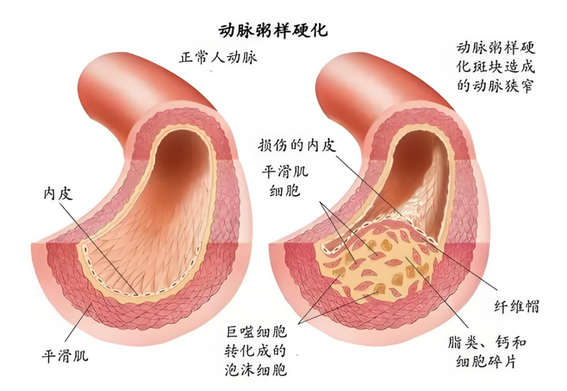 圖片1(87)