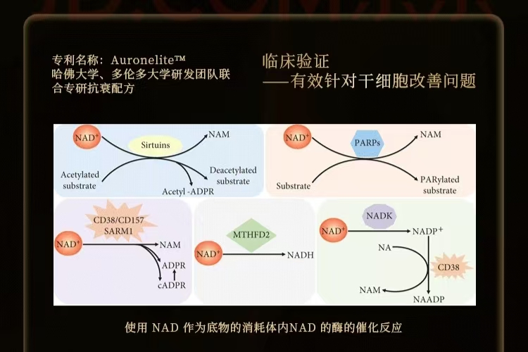 a225bff2789423a90ef4e1a64216a83