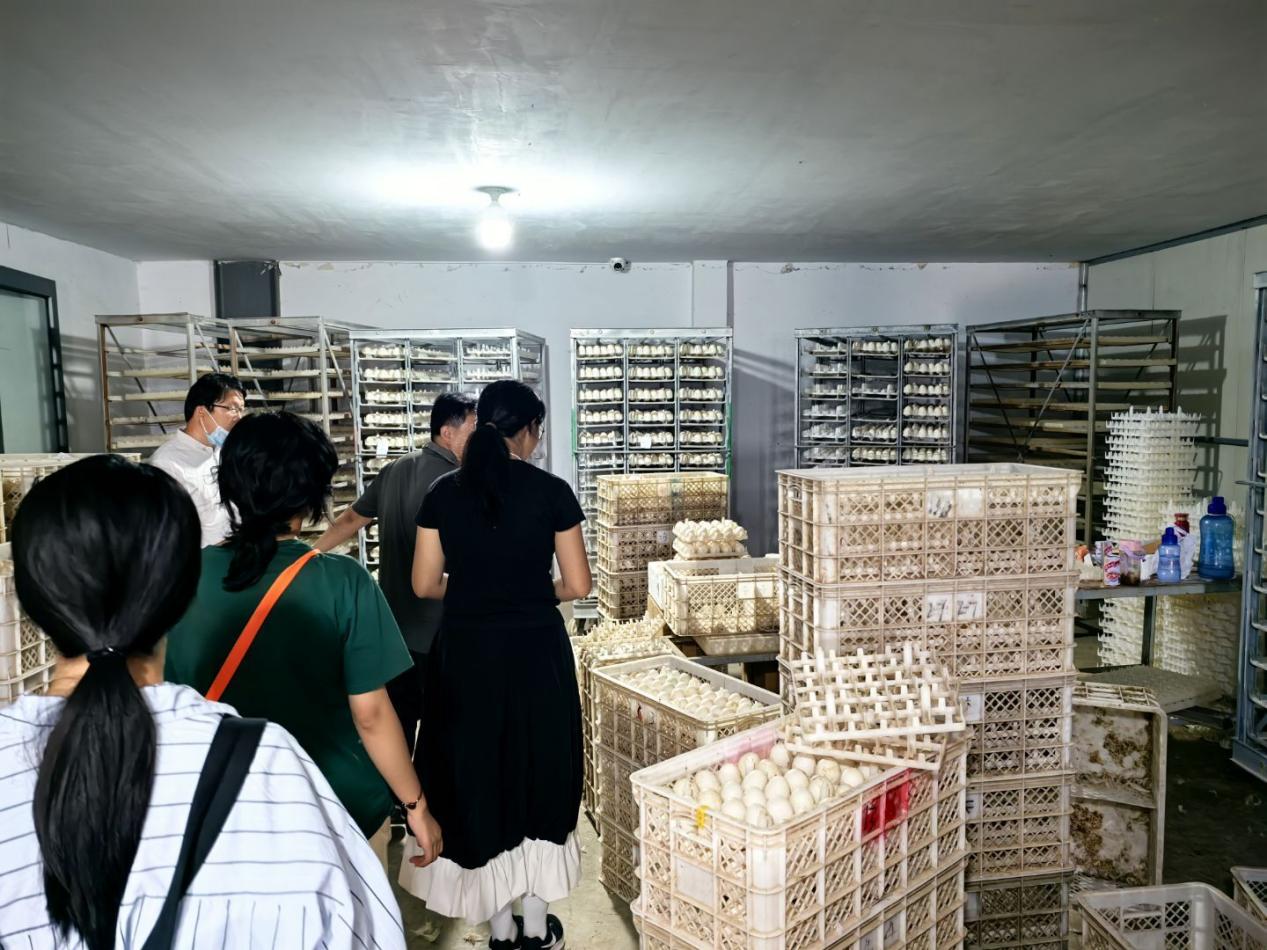 7fc7abb7c698cf6f3c7df8fc7196d37