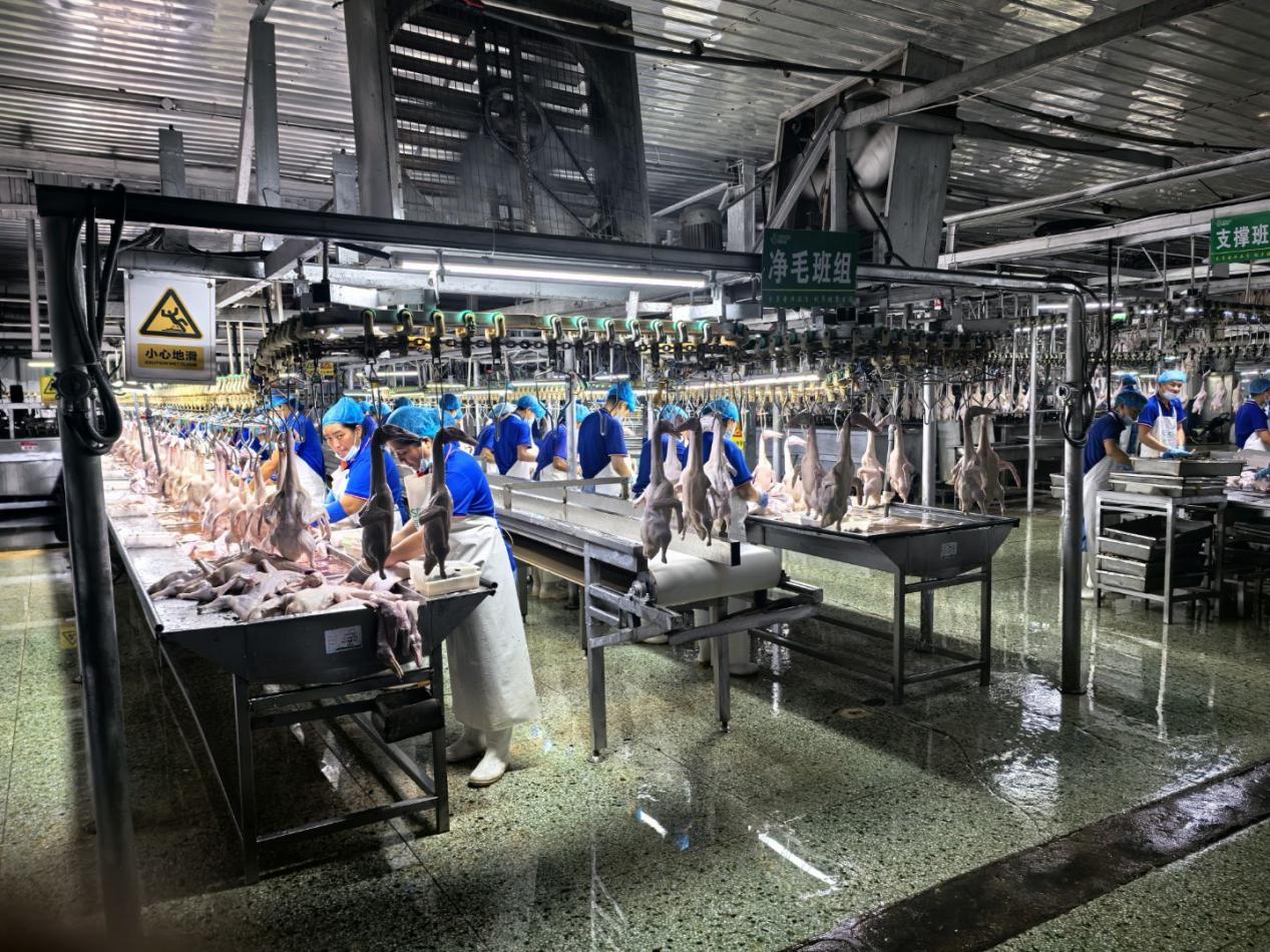 4421344d2dd41ee9b165d30b7d51cee