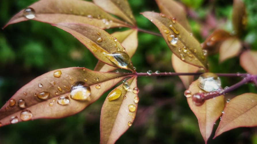 如图片无法显示,请刷新页面