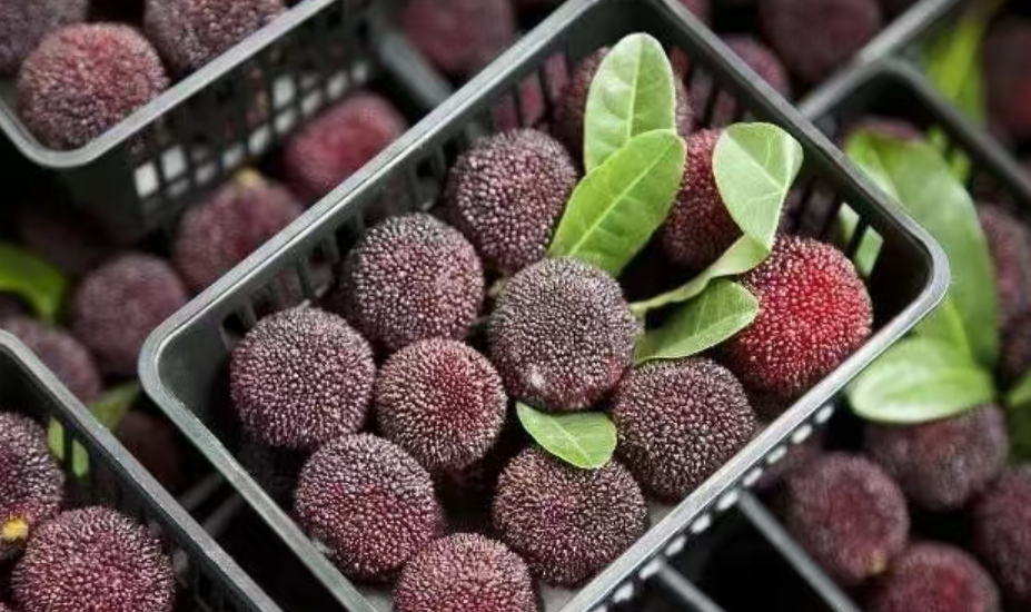 微信截图_20250712154049