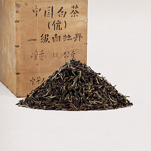 如圖片無法顯示，請刷新頁面