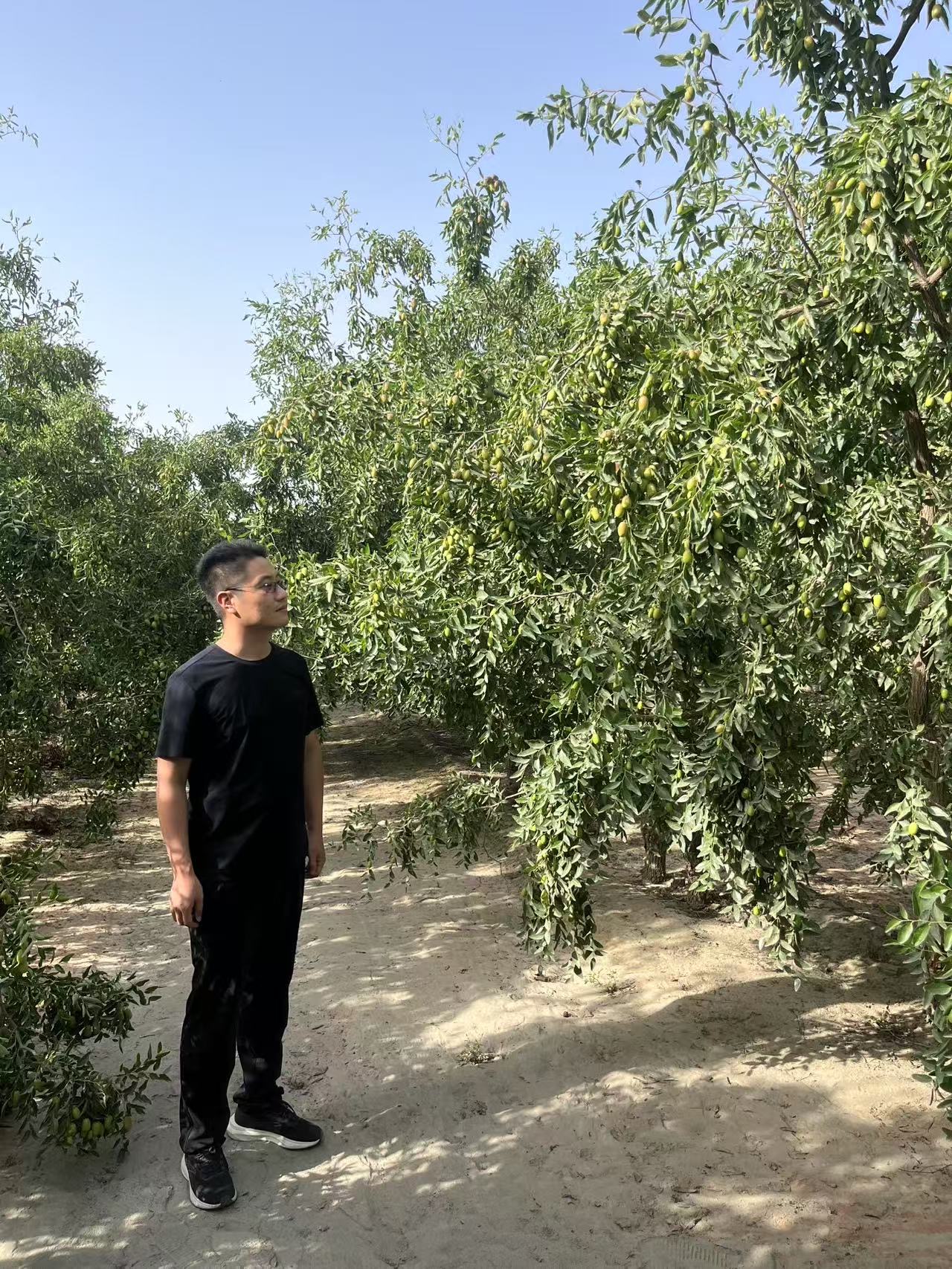 如图片无法显示，请刷新页面