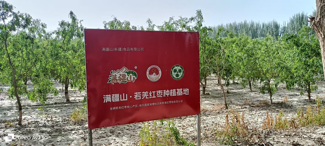 如图片无法显示，请刷新页面