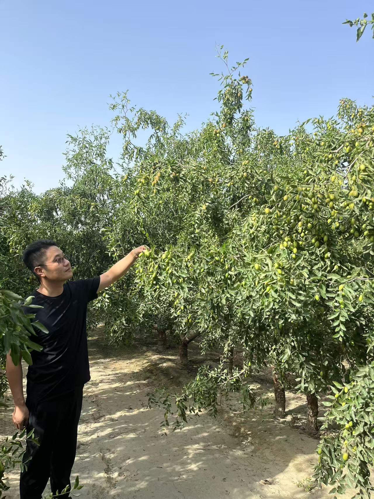 如图片无法显示，请刷新页面