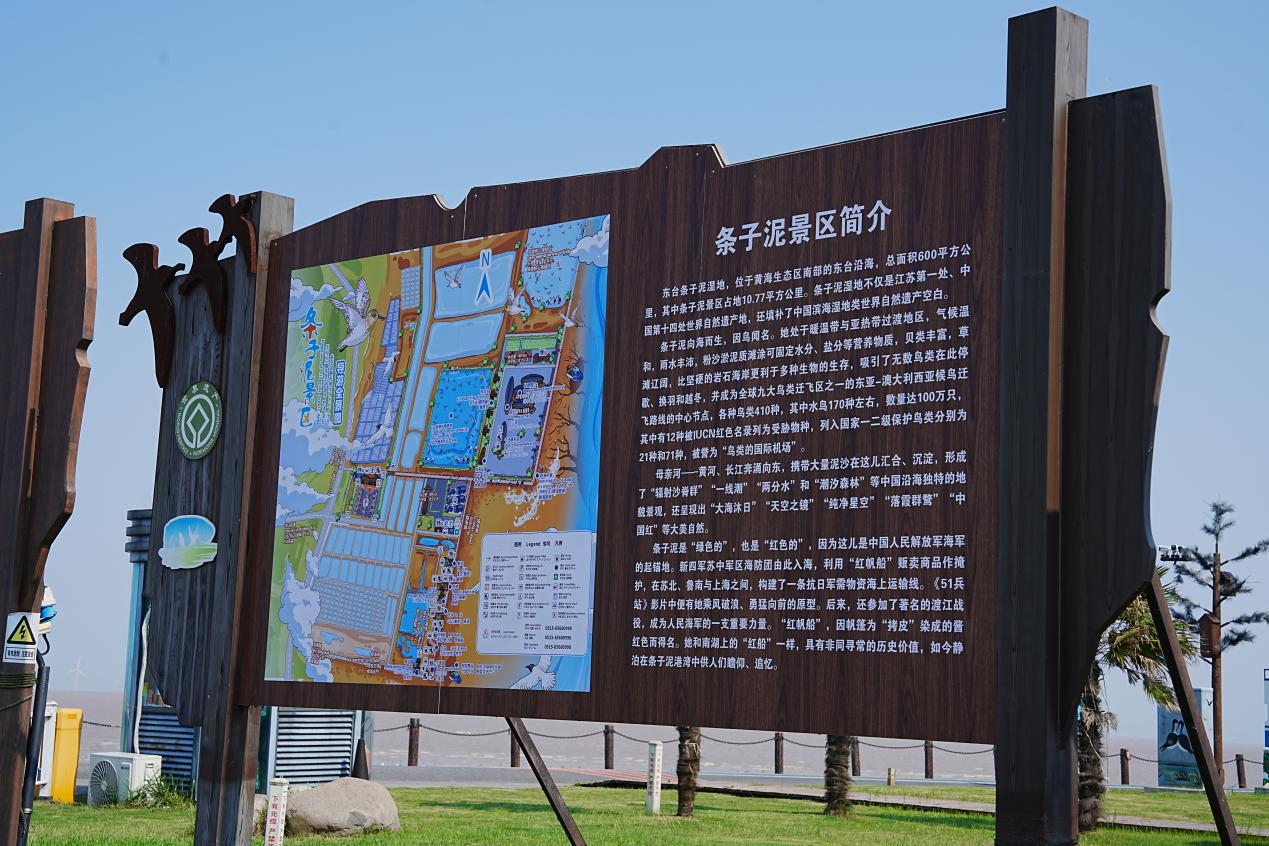 DSC07391